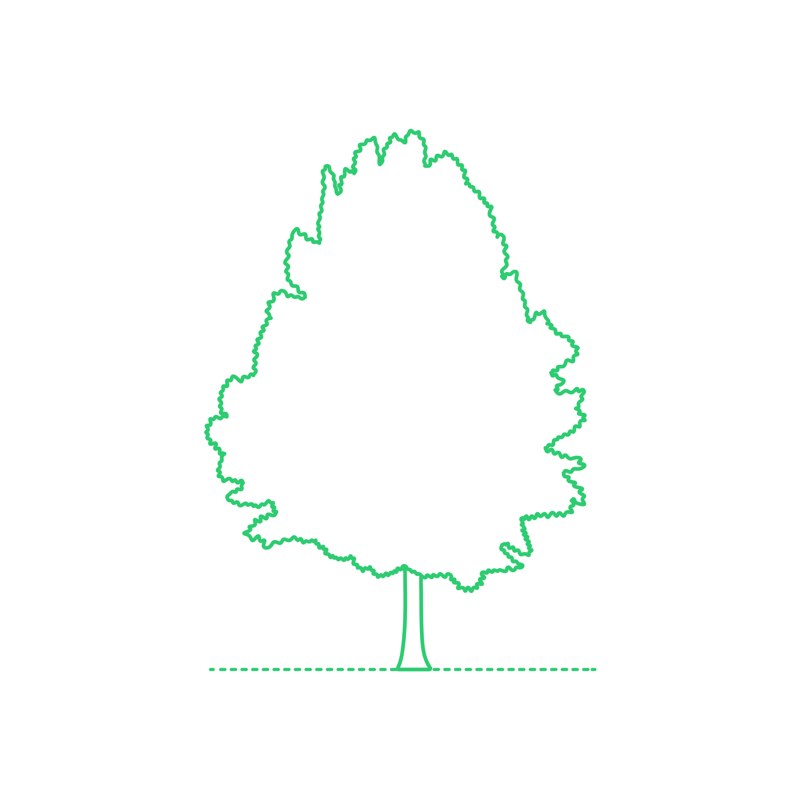 Plants Deciduous Trees Tulip Tree Sticker Outline Svg File Free Vectors